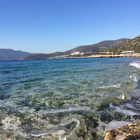 Sahin & Restaurant Yaliciftlik