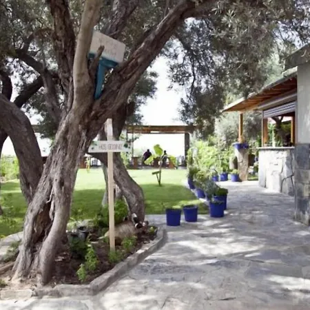 Sahin & Restaurant Guest house 2*
