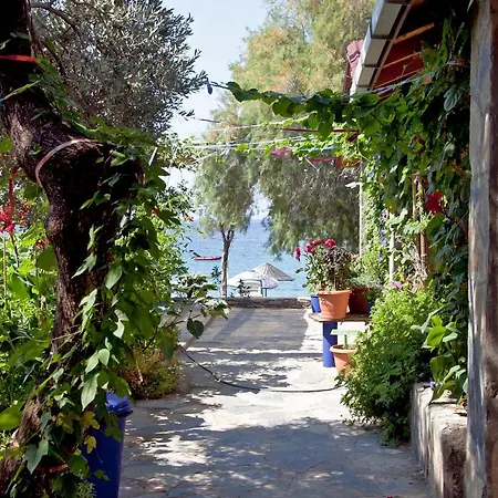 Sahin & Restaurant Guest house Yaliciftlik