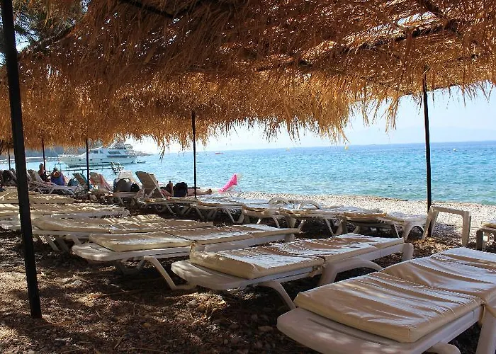 Sahin & Restaurant يالتْشيفليك