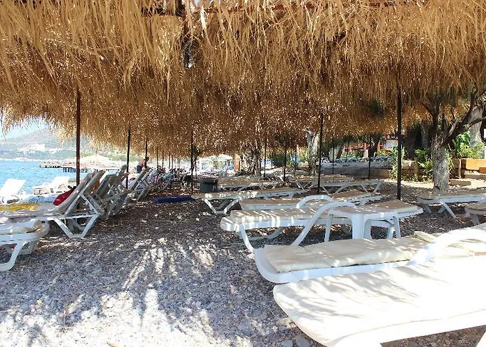 Sahin & Restaurant بيت ضيافة