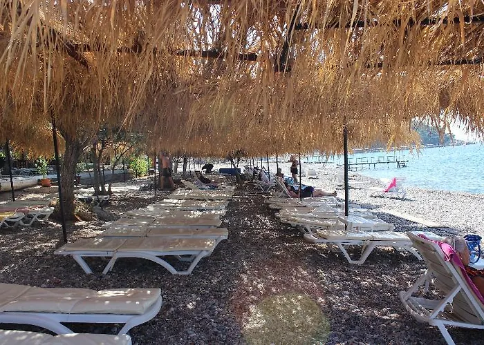 بيت ضيافة Sahin & Restaurant 3*